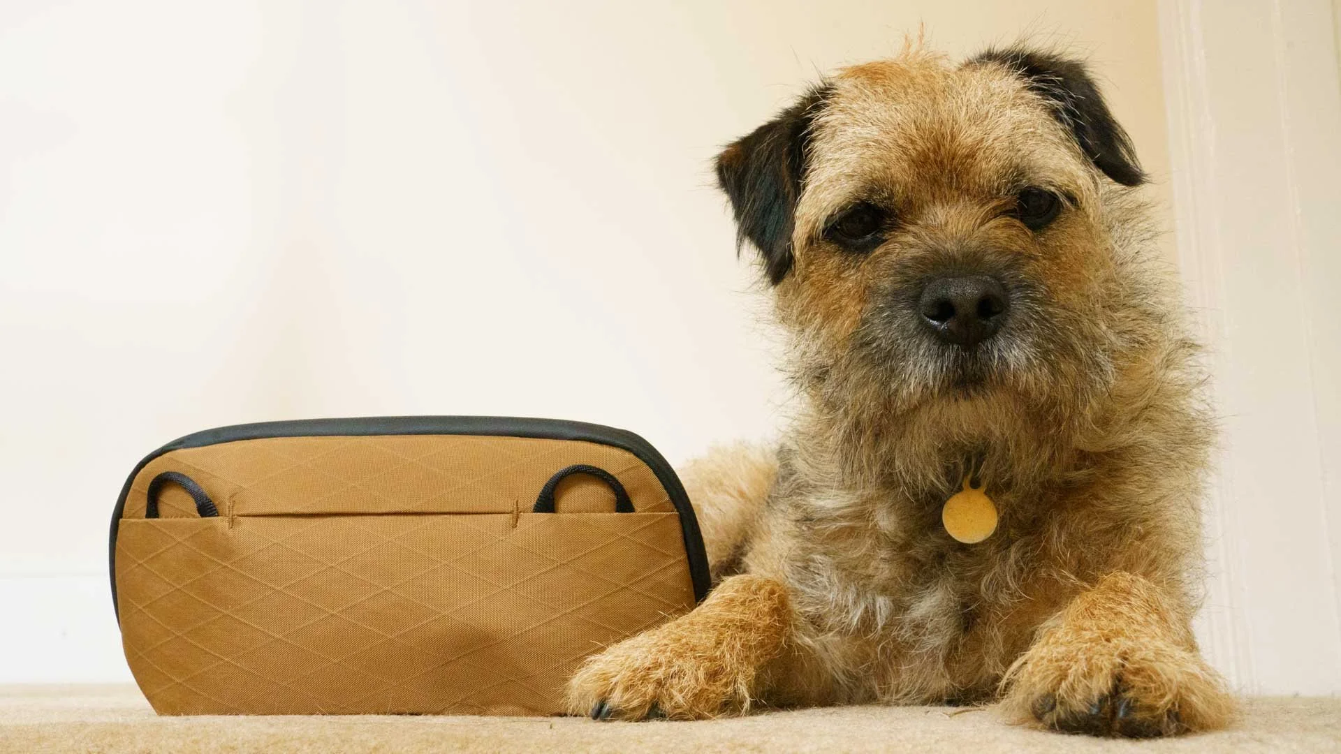  The Peak Design Small Tech Pouch shown here has an exterior made from X-PAC® VX-21 Ocean Edition fabric with a 22° diamond pattern. The coyote's exterior is fur and dried puddle mud. 