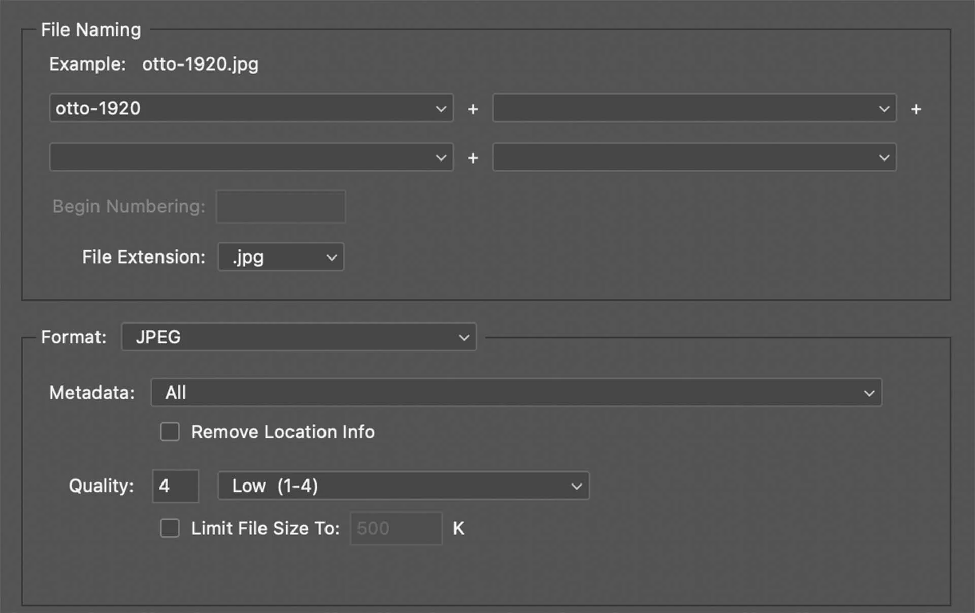 Using a low quality setting of 4 reduces the file size of an image significantly, but it still looks fine onscreen and online. Another way to reduce the file size of an image is to set a file size limit when you save it. This takes the guesswork out of setting the quality setting.