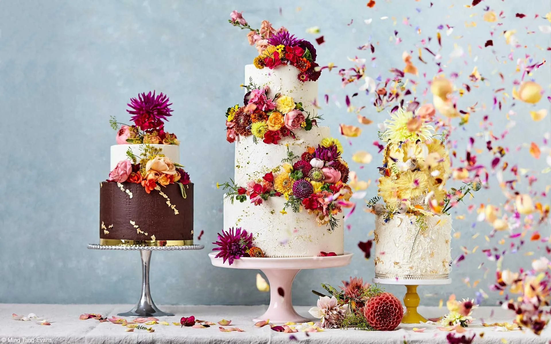  Image credit: Photo: Ming Tang-Evans, Stylist: Tarunima Sinha	It's Raining Cake - Hallelujah!	A celebration of cake with 'My Little Cake Tin's' signature colourful and stylish edible floral decoration. 