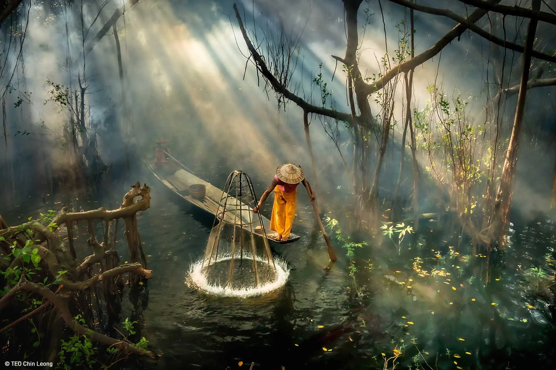  Image credit: Teo Chin Leong	Mangrove Fisherman	A Burmese fisherman attempts to make a catch in a mangrove forest. The early morning rays of the sun create a magical atmosphere. 