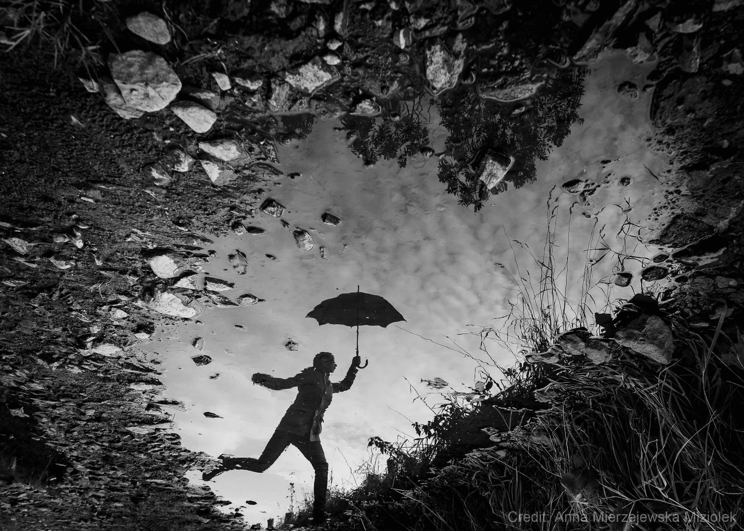 Blurred black and white forest with tall trees